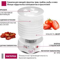 Мастерица EFD-0602VM (6 белых поддонов + 2 прозрачных поддона + поддон для пастилы) Image #3