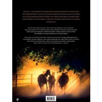 Эксмо. Невероятные лошади. Все о самых грациозных и сильных существах на планете (Франк Наталья) Image #2