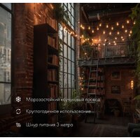 Neon-Night Уличная Лофт 10 м 331-355 (теплый белый) Image #3