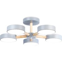 Ambrella light FL4826/5 GR Image #2