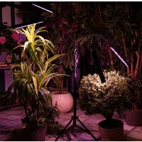 Uniel ULT-P32-60W/SPLE/TM/40 IP40 BLACK QUAD UL-00008906 Image #8