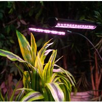 Uniel ULT-P32-60W/SPLE/TM/40 IP40 BLACK QUAD UL-00008906 Image #7