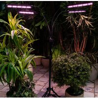 Uniel ULT-P32-60W/SPLE/TM/40 IP40 BLACK QUAD UL-00008906 Image #6