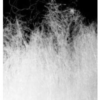 Naturehike U150 NH20MSD07 6927595764398 (хаки 190 L) Image #11