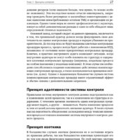 Альпина Диджитал. Настольная книга по внутреннему аудиту (Крышкин О.) Image #25