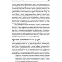 Альпина Диджитал. Настольная книга по внутреннему аудиту (Крышкин О.) Image #29