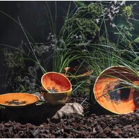 Bordallo Pinheiro Тропические фрукты Папайя BOR65029350 Image #4