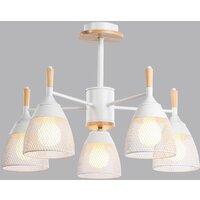 Sundays Home R-25 6211 (с лампами Е27 12W 4100K 5шт)