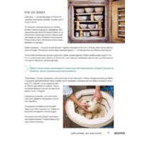 Эксмо. Керамика. Самое полное и понятное пошаговое руководство для начинающих гончаров (Дудниченко Анна) Image #14