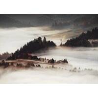 Orlix Туман CA-12952 85x113 см