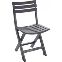 Ipae Progarden BIR80CAN-4 (антрацит)