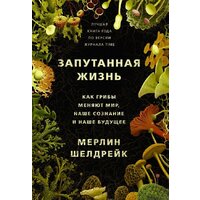 АСТ. Запутанная жизнь. Как грибы меняют мир, наше сознание и наше будущее (Шелдрейк Мерлин)