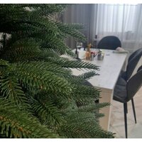 Maxy Poland Exclusive Рождественская литая 1.6 м Image #3