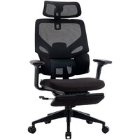 Evolution LumbarPro FR (черный)