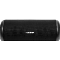 Toshiba TY-WSP201
