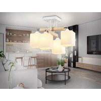 Ambrella light Traditional TR9512 Image #5