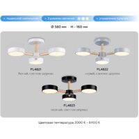 Ambrella light FL4822/3 GR Image #9