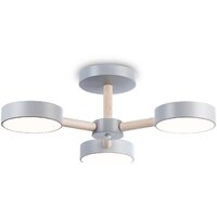 Ambrella light FL4822/3 GR Image #2