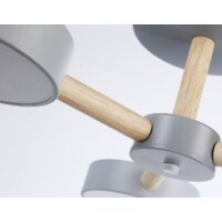 Ambrella light FL4822/3 GR Image #7