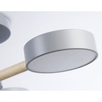 Ambrella light FL4822/3 GR Image #6