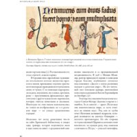 Альпина Диджитал. Воображаемый враг. Иноверцы и еретики (Майзульс М.) Image #8