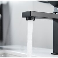 Shevanik S9601H Image #10