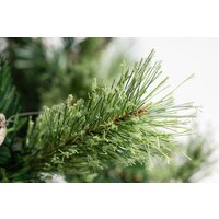 Winter Fun Light ML-0066-001 (150см) Image #8