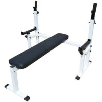 Central Sport с подстраховкой Модель E (белый)