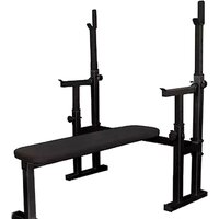 Central Sport с подстраховкой Модель E (черный)