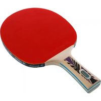 Donic-Schildkrot Legends 800 788488 Image #7