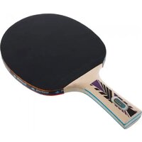 Donic-Schildkrot Legends 800 788488 Image #6