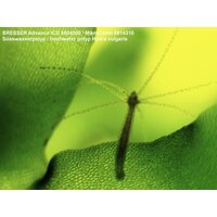 Bresser Advance ICD 10x–160x 33142 Image #5