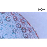 Микмед LCD 1000Х 2.0LB 30701 Image #13