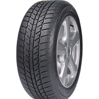 Evergreen EW62 205/65R16 95H